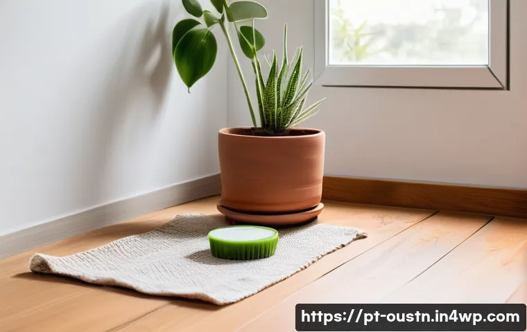 자연에서 영감을 받는 지속 가능한 방법 - Sustainable Home & Green Cleaning**
A serene and brightly lit living space in a contemporary Portug...